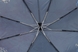 Folding Umbrella Auto Open PERLETTI MAISON Ramage 16205.2;7669 - 2
