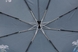 Складной зонт Полуавтомат PERLETTI MAISON Ramage 16205.3;7669 - 2