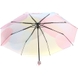 Straight Umbrella Auto Open & Close Esprit 53154 - 2