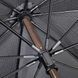 Парасоля тростина Механіка Fulton Diamond G851-035153 - 4